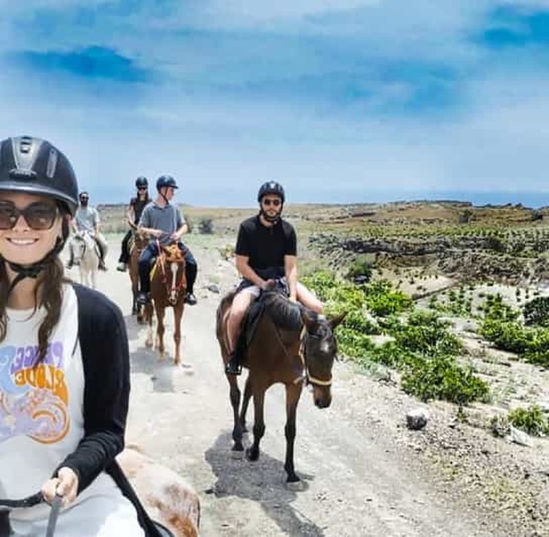 Billet Akrotiri : excursion guidée à cheval vers une plage