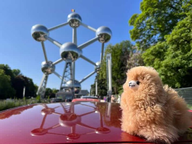 Billet Excursion à Bruxelles depuis Paris ou Amsterdam en minibus