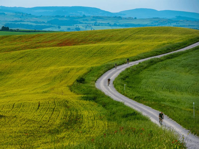 Billet Asciano & Crete Senesi E-BIKE Tour + prise en charge et retour en van