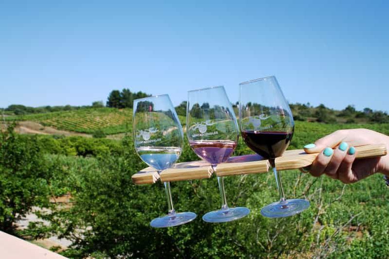 Billet Algarve : 3 types de dégustations de vin avec vue sur les vignobles