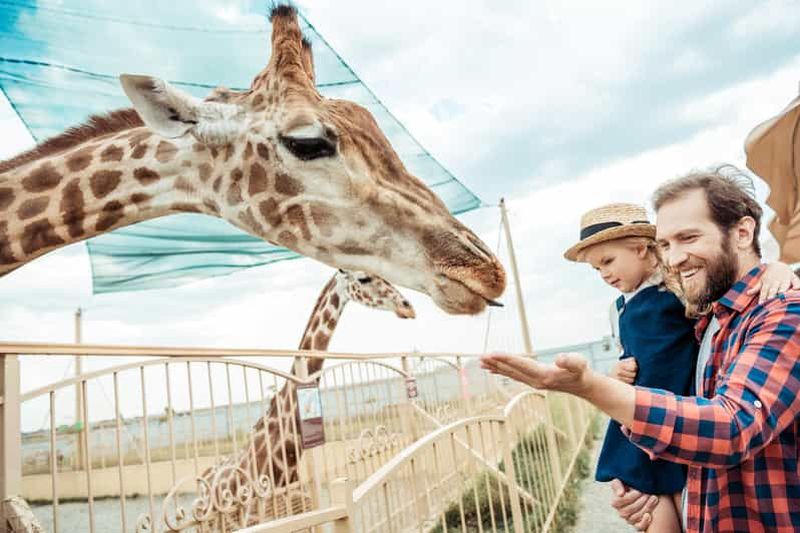 Billet Depuis Cracovie : Excursion au zoo avec transfert privé de luxe