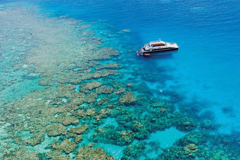 Billet Cairns : visite d'une journée complète de plongée premium dans la Grande Barrière de Corail