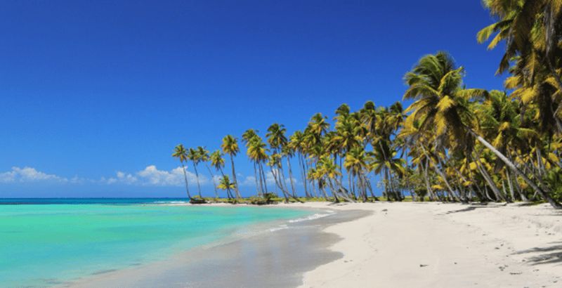 Billet Au départ de Punta Cana : Excursion en bateau sur l'île de Saona avec buffet