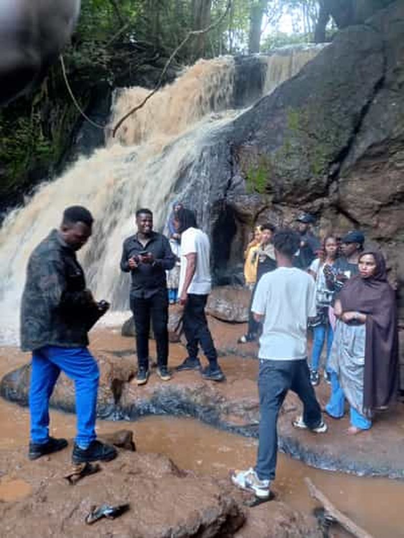 Billet Nairobi : location de vélos dans la forêt de Karura et promenade aux cascades