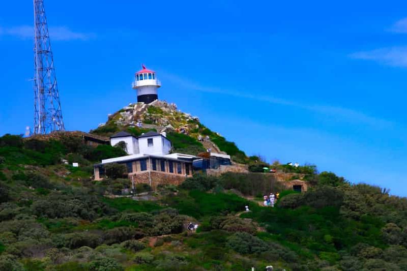 Billet Explorez le Cap de Bonne Espérance et la plage de Boulders : Visite privée