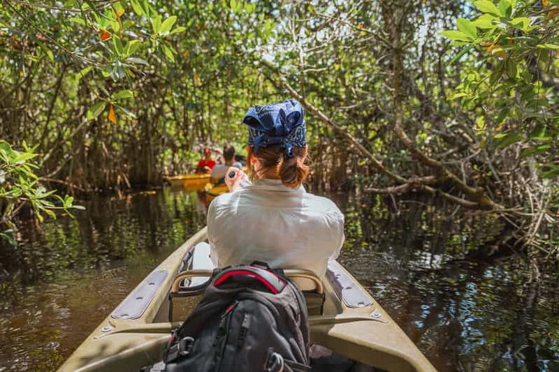Billet Parc national des Everglades : Excursion en kayak dans le tunnel de la mangrove