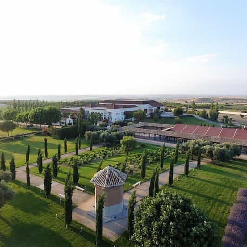 Billet Tolède : visite du domaine Casa del Valle et dégustation de vin