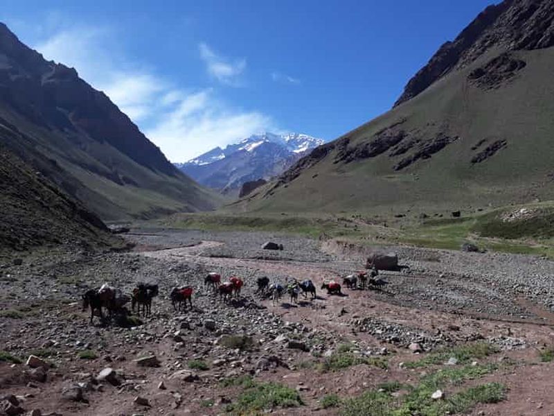 Billet Mendoza : Trekking au camp de Confluencia du Mont Aconcagua