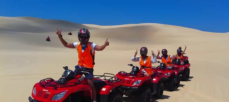 Billet Sydney : Observation des dauphins et planche à voile à Port Stephens