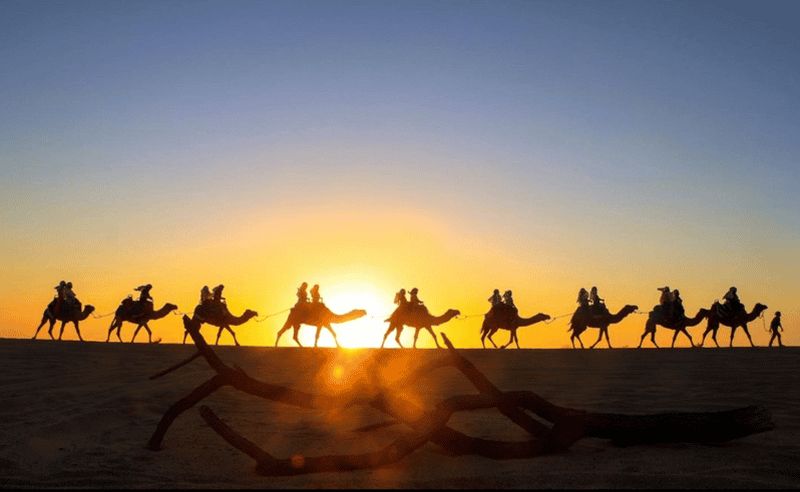 Billet Cabo : safari à dos de chameau et tacos