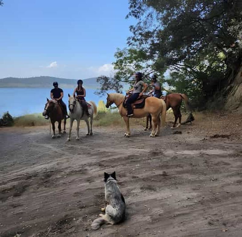 Billet Rome : balade à cheval avec guide au lac Martignano