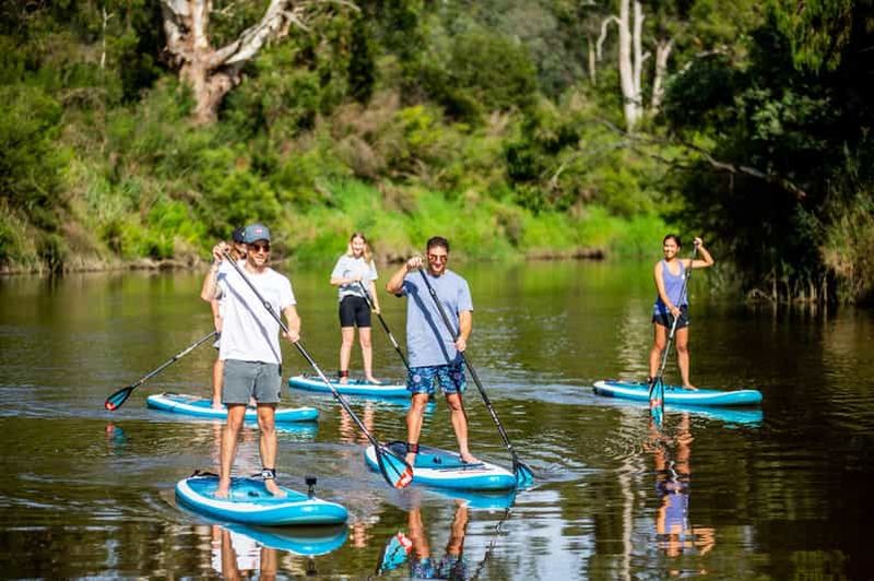 Billet Péninsule de Mornington : safari paddleboard et snorkeling avec brunch