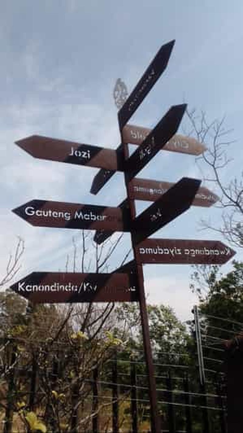 Billet Johannesburg : randonnée dans la réserve naturelle The Wilds