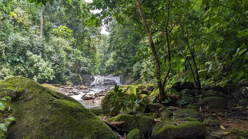 Billet Manuel Antonio : excursion en VTT, jungle et cascade