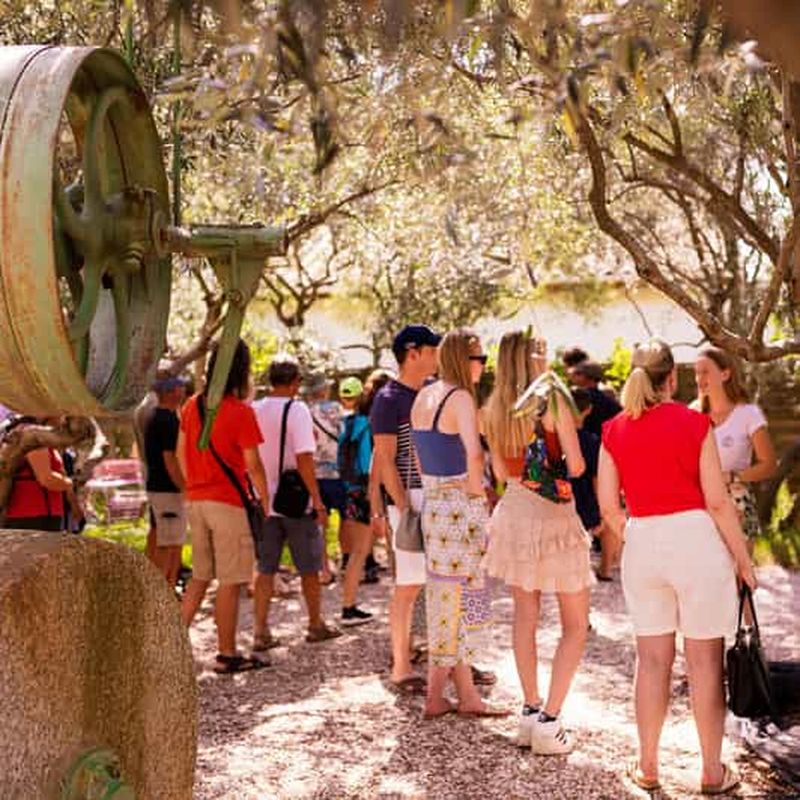 Billet Moulin à huile l'Oulibo : Visite Guidée
