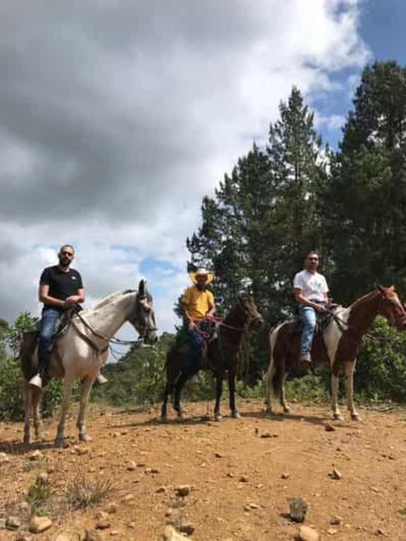 Billet Randonnée à cheval dans les montagnes de Medellín