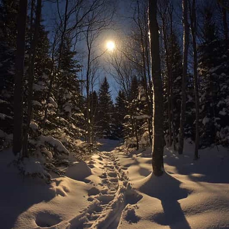 Billet Montreux : randonnée en raquettes avec fondue et vin