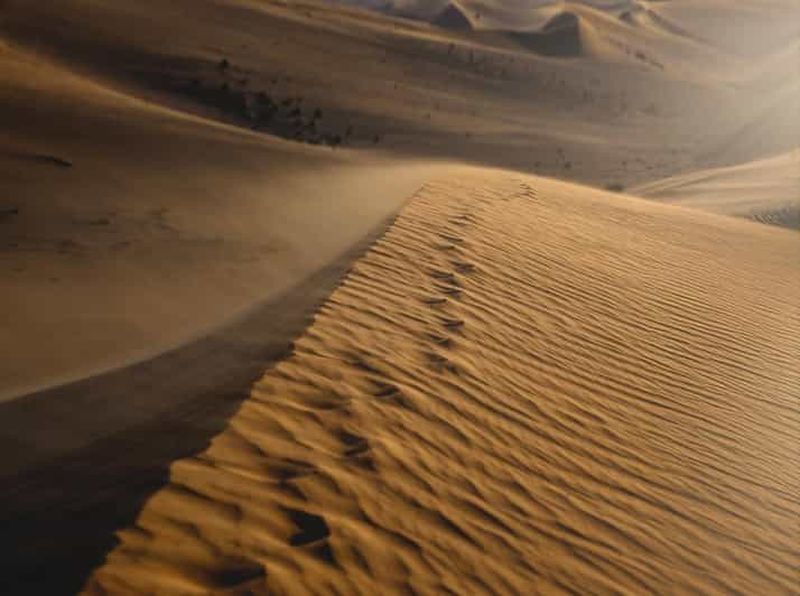 Billet Expérience privée dans le désert de Gentle Sands sans rallye dans les dunes