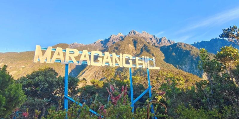 Billet Kota Kinabalu : randonnée guidée sur la colline de Maragang avec prise en charge