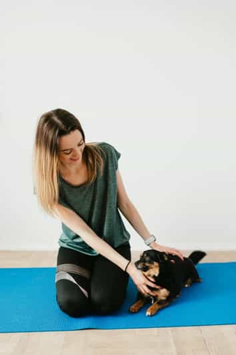 Billet Yoga pour chiots à Riga