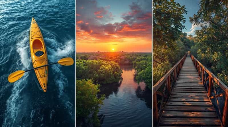 Billet Qatar : excursion en kayak dans la mangrove et découverte écologique