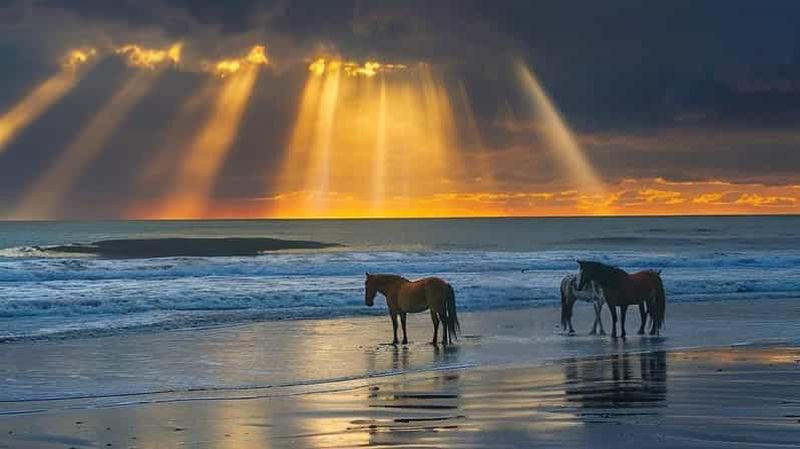 Billet Phuket : promenade à cheval au coucher du soleil sur les plages de Bang Tao et Kama