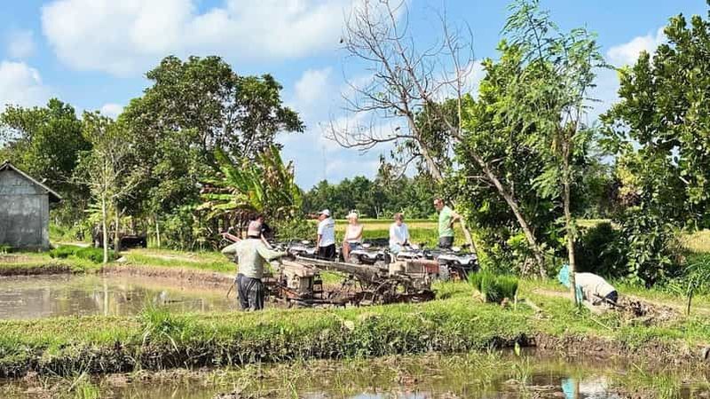 Billet Lombok : randonnée en quad tout-terrain, trek dans la jungle et escapade aux cascades
