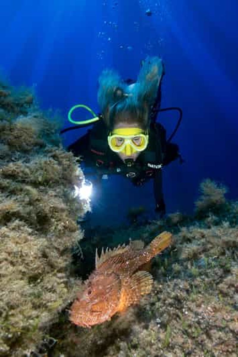 Billet Gênes : première plongée sous-marine