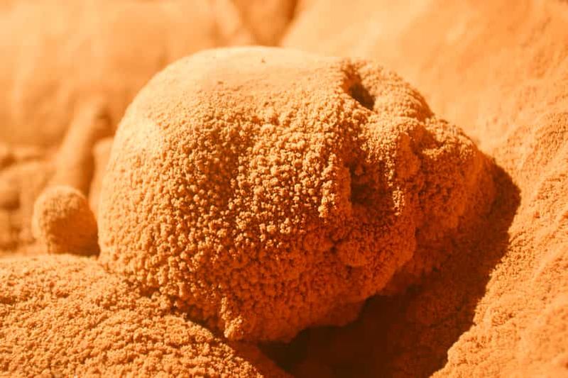 Billet Visite d'une jounée de la grotte d'Actun Tunichil Muknal (ATM) à Belize City