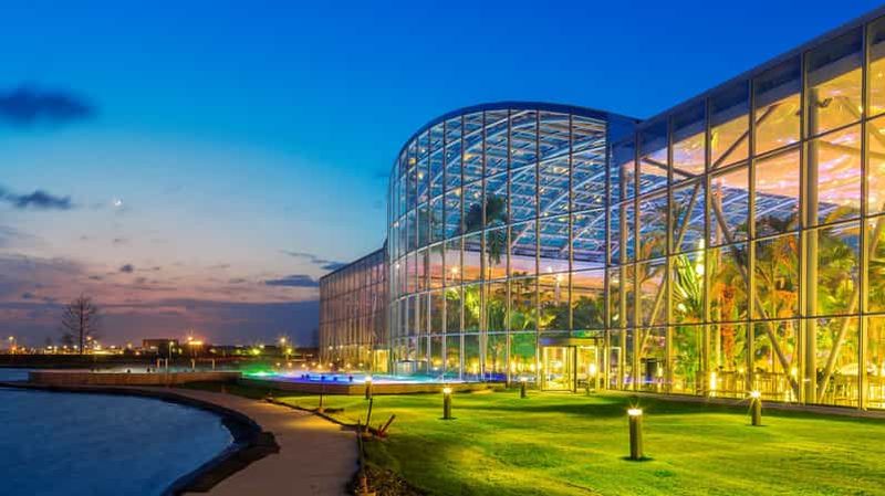 Billet Bucarest : Therme București billet d'entrée avec transport