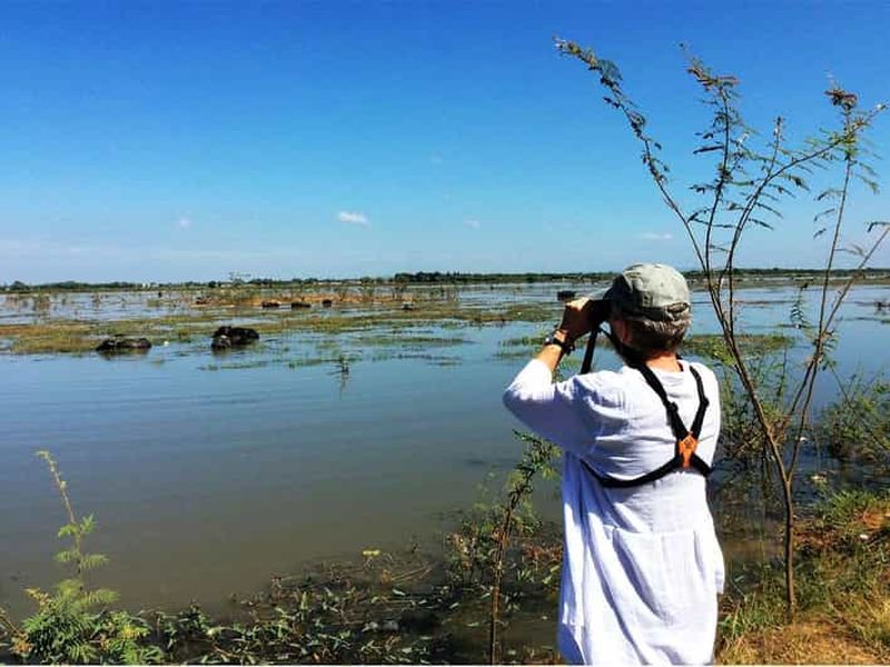 Billet Observation des oiseaux dans la forêt de Tonlé Sap et la ferme de lotus à Siem Reap