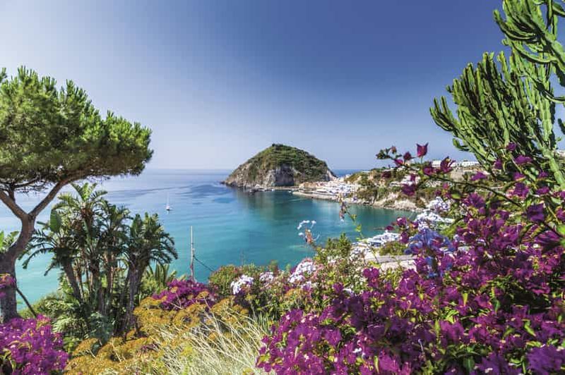 Billet Au départ de Naples : Visite privée de l'île d'Ischia avec déjeuner
