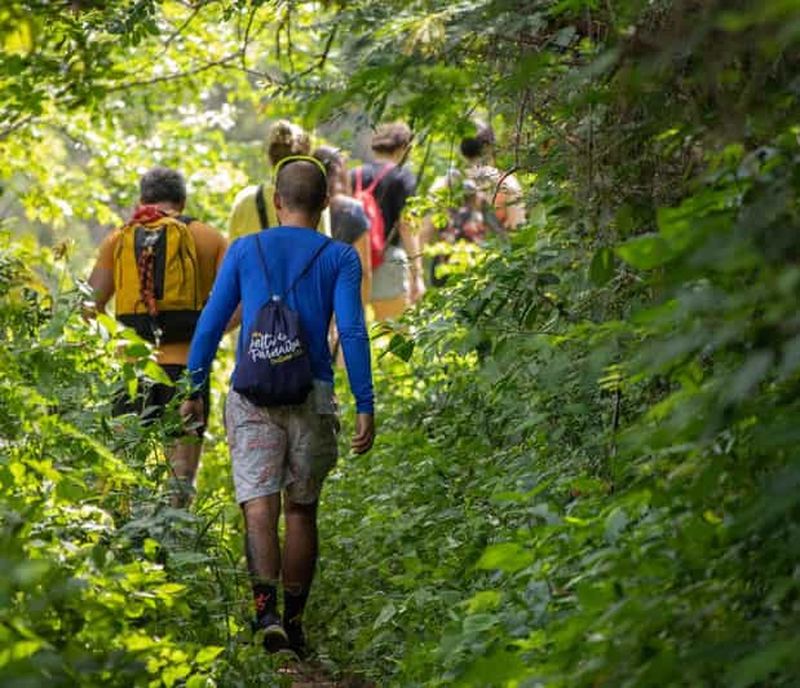 Billet Rio de Janeiro : randonnée privée dans la forêt de Tijuca et à Pedra Bonita