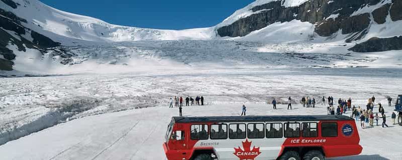Billet Banff : visite du glacier Crowfoot, des 4 lacs et du canyon Johnston