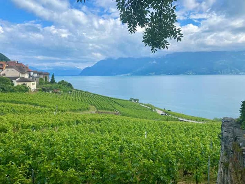 Billet Gruyères et vignoble de Lavaux avec fromage et vin | Au départ de Berne