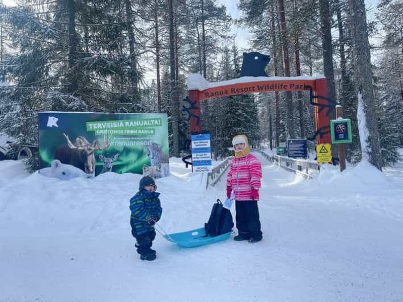 Billet Visite guidée du zoo Ranua Wildlife avec déjeuner buffet