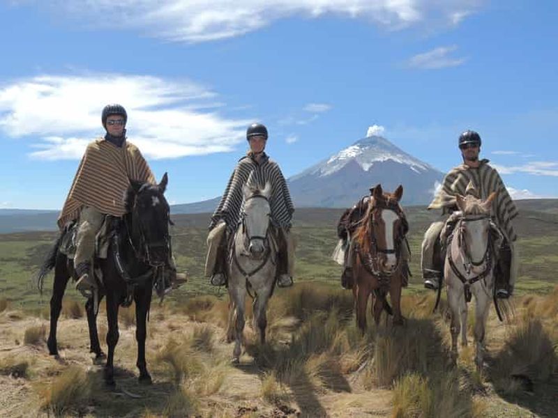 Billet Depuis Quito : Randonnée à cheval et excursion d'une journée dans le parc national du Cotopaxi
