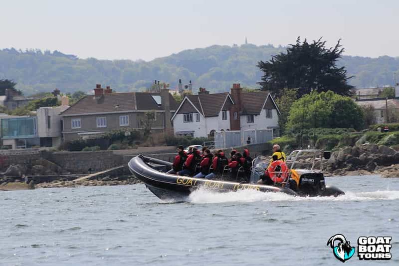 Billet Dublin : tour en bateau avec commentaires en direct sur l'histoire et la faune