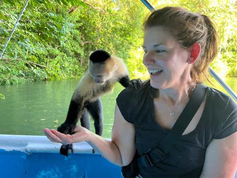 Billet Panama : tour en bateau pour observer la faune sauvage dans le lac du canal de Panama