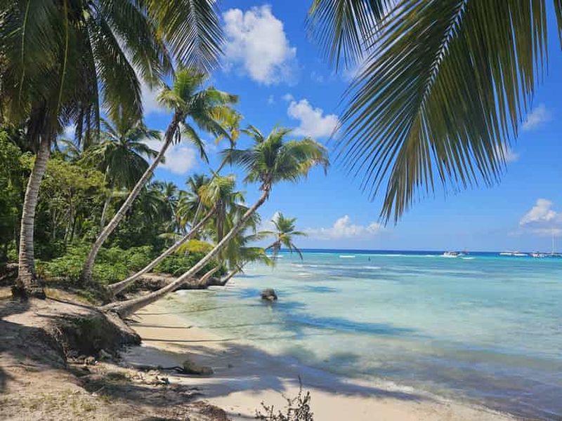 Billet Excursion VIP à l'île Saona en bateau rapide avec visite de plages paradisiaques