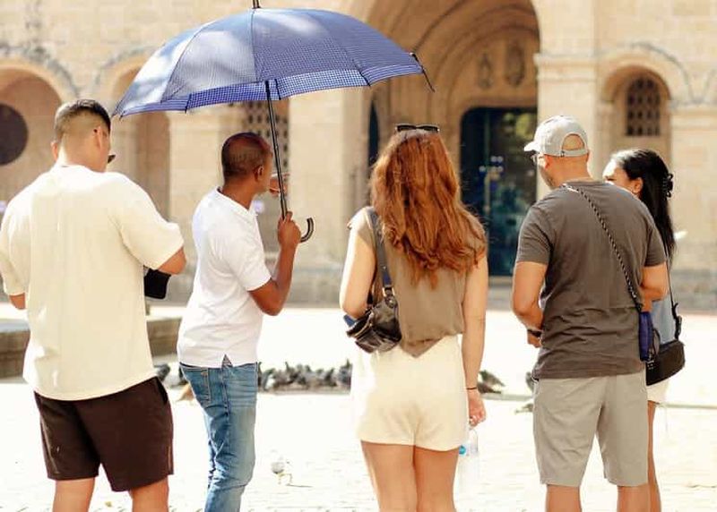 Billet Saint-Domingue : visite à pied en petit groupe et café de spécialité