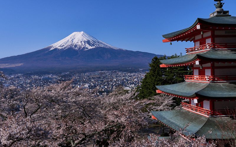 Billet Excursion à Tokyo - Visite privée du Mont Fuji depuis Tokyo