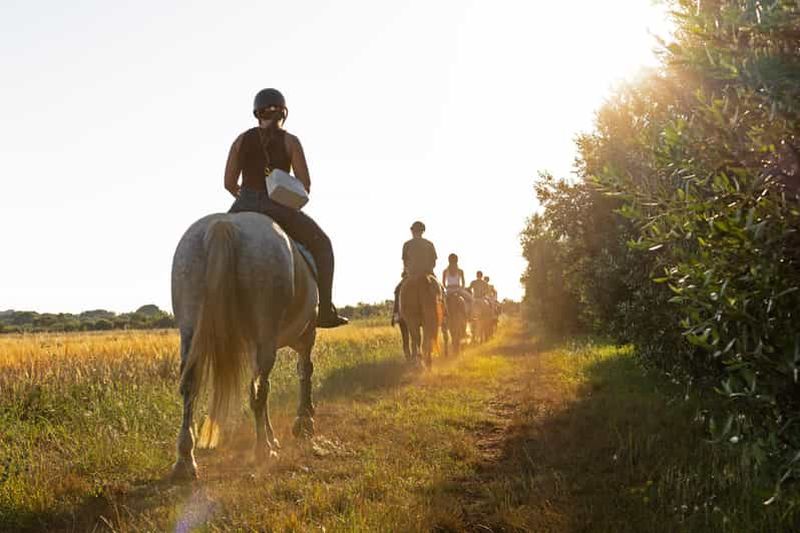 Billet Fazana : Randonnée à cheval d'une heure dans la nature avec guide au coucher du soleil