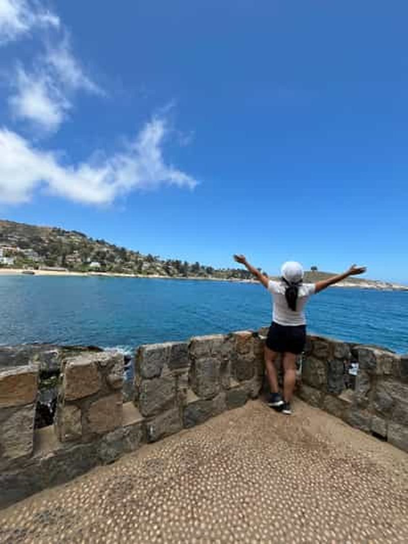 Billet Pingouins et trésors de la mer à Zapallar