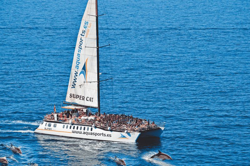 Billet Puerto Rico : Excursion de 2 heures en catamaran avec les dauphins