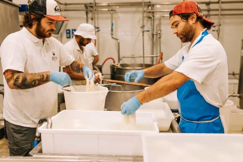 Billet Depuis Matera : excursion de dégustation de fromages et de pâtisseries d'Altamura