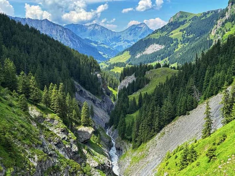 Billet Griesalp Vallée alpine classée au patrimoine mondial de l'UNESCO Circuit en vélo électrique au départ d'Interlaken