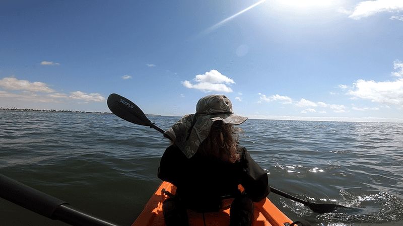 Billet Swakopmund : excursion en kayak au coucher du soleil avec prise en charge à l'hôtel