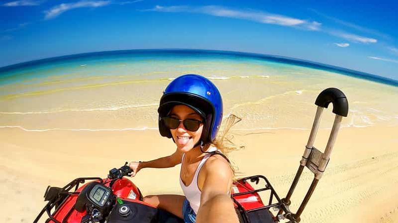 Billet L'île de Moreton : Excursion d'une journée à Tangalooma avec tour en quad quad