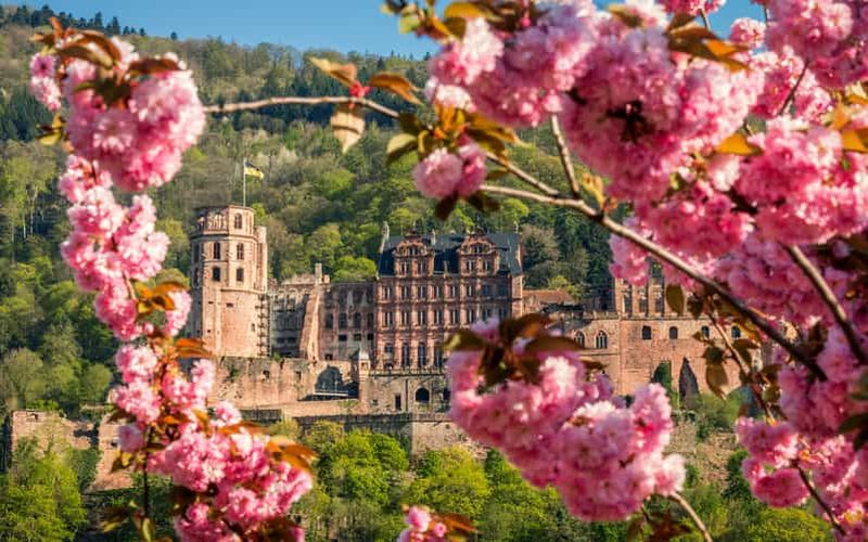 Billet Heidelberg : Visite en bus touristique et visite des châteaux